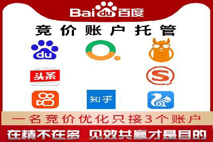 Sem优化公司成功案例：转化率提升之道